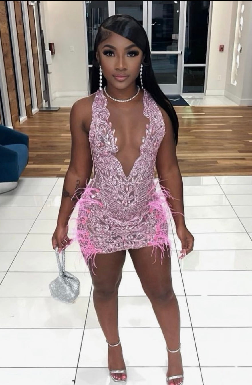 Jayla (pink w/ feathers)